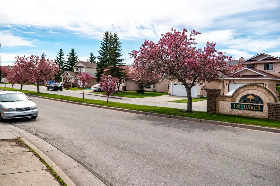 A residential street in Applewood Park